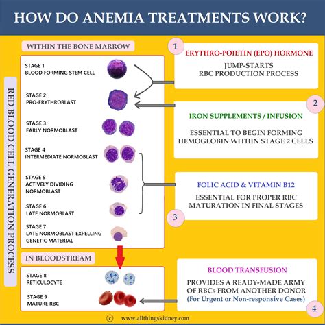 Anemia in CKD: Treatment - All Things Kidney ~ Official