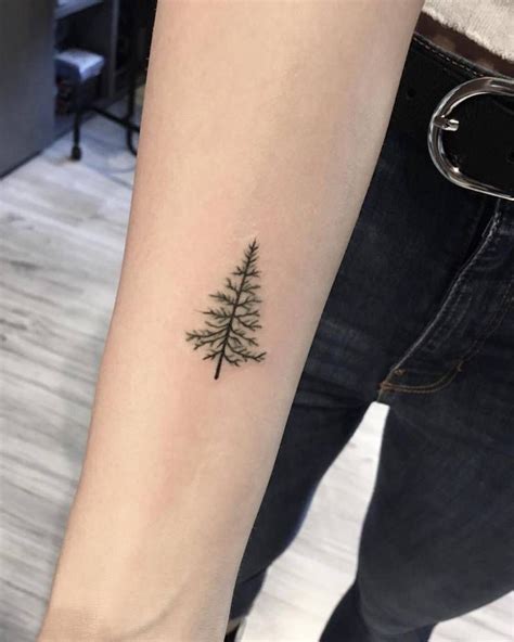 Small pine tree tattoo on the right inner forearm | Tree tattoo small, Pine tree tattoo, Tree ...