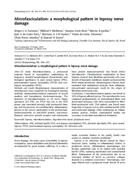 (PDF) Microfasciculation: a morphological pattern in leprosy nerve damage | Márcia Jardim ...