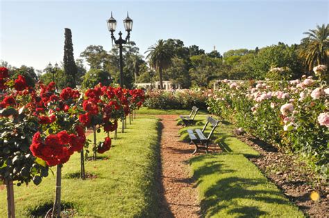 The Rose Garden (El Rosedal) in the Parks of Palermo in Buenos Aires, Argentina. | Buenos aires ...