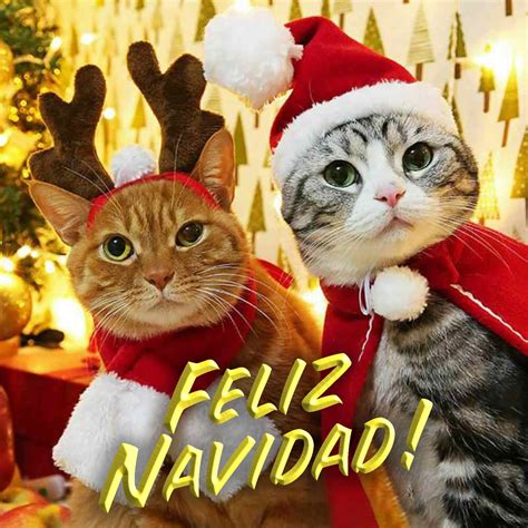 Postales Y Tarjetas De Feliz Navidad Con Im Genes Bonitas | The Best Porn Website