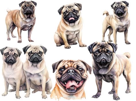 Pug Dog Breed Watercolor Art Digital Downloads 16 High - Etsy