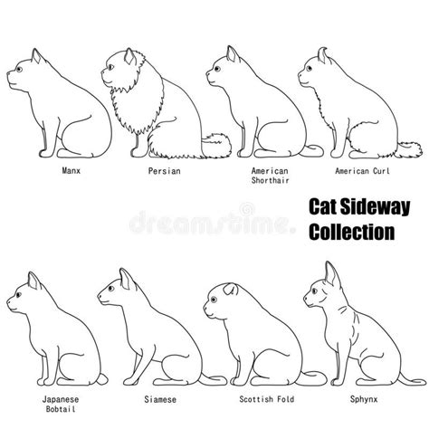 Sitting cats side view line art set. Sitting cats line art side view set, various breed,full ...