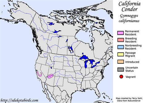 California Condor - Species Range Map