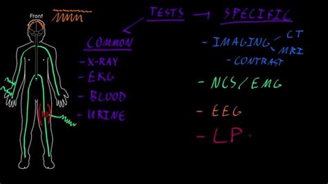 Neurological tests - YouTube