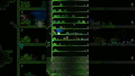 Mystic Frog found!! Terraria 1.4.4 - YouTube