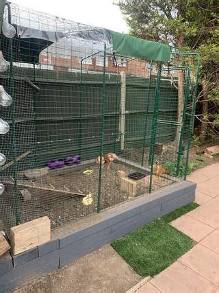 an outdoor area with several cages and various animals