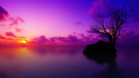 22 Purple Sunset Wallpapers - Wallpaperboat