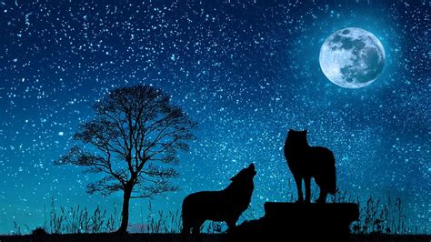 HD wallpaper: sky, dark, night, moon, moonlight, wolf, tree, roar, animation | Wallpaper Flare