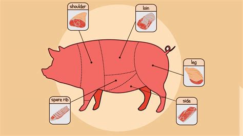 8 Common Pork Cuts, How to Use Them, and More: Pictures and Guide