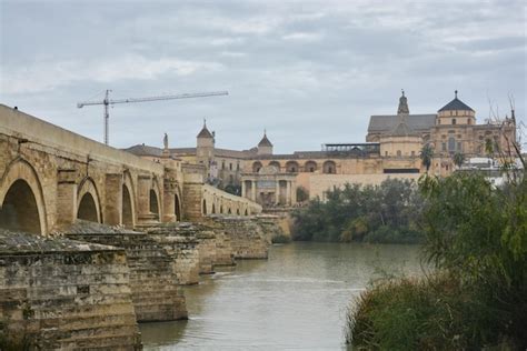 Premium Photo | Roman bridge over the guadalquivir and mesquite in cordoba