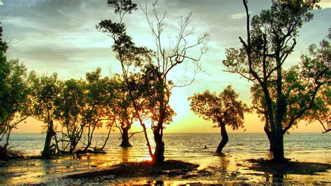 trees, retouching, sunset, Thailand, beach, HD Wallpaper | Rare Gallery