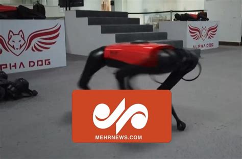 VIDEO: Chinese tech company develops robot dog - Mehr News Agency