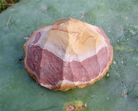 Rhyolite Paleolithic Flint Knapping Core by Desertknapper on Etsy