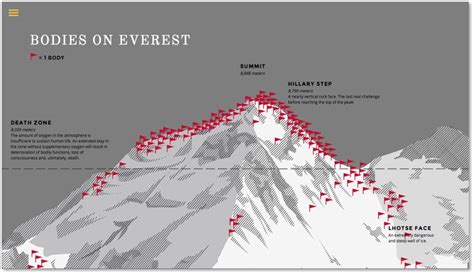 Mount Everest: Climbers in the Death Zone - The Next Phase Blog