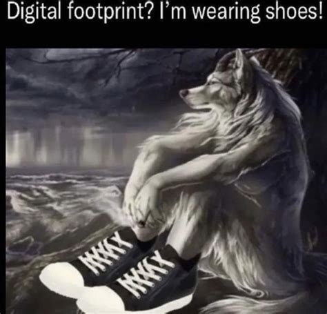 Digital footprint? I'm wearing shoes! | Sitting Wolf | Know Your Meme