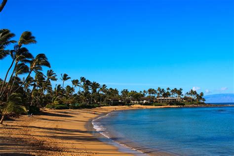 Snorkeling in Napili Bay, Maui, Hawaii - Northwest Maui Beauty ...