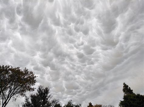 Mammatus clouds, Christchurch, New Zealand : r/CLOUDS