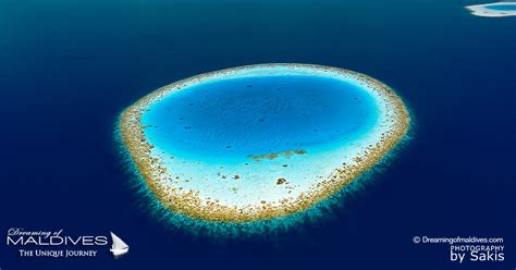 Stunning Aerial Photos of The Maldives Islands Amazing Shapes | Gallery