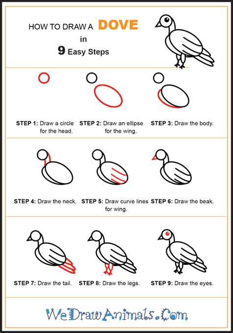 How To Draw A Dove Easy Step By Step at Drawing Tutorials