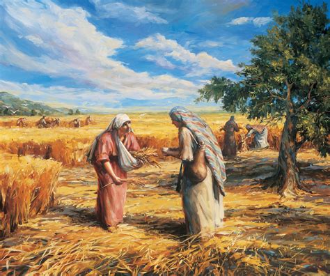 Ruth Gleaning in the Fields (Ruth and Naomi)