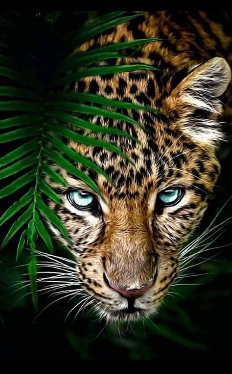 Details 78+ wild animals wallpaper super hot - 3tdesign.edu.vn