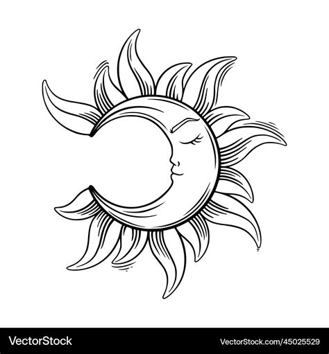 Tarot crescent moon sketch aesthetic Royalty Free Vector