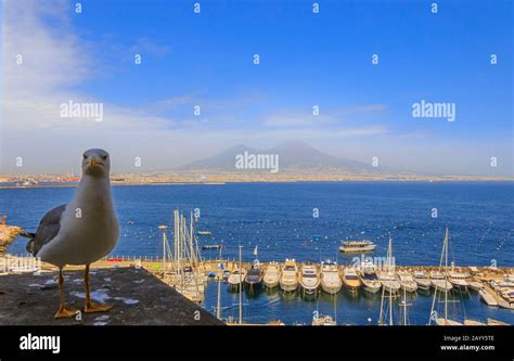 View of the Mount Vesuvius and Gulf of Naples viewed from Naples, Italy Stock Photo - Alamy