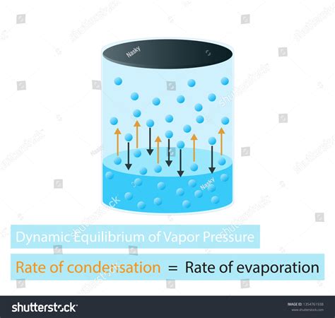 Dynamic equilibrium Images, Stock Photos & Vectors | Shutterstock