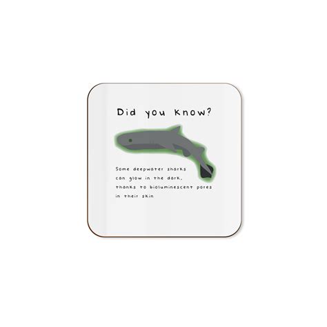 Did You Know? Glow In The Dark Shark – Animal Fact Single Coaster ...