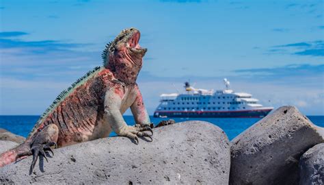 Discover the Unique Wonders of the Galápagos Islands with Hurtigruten Cruises.