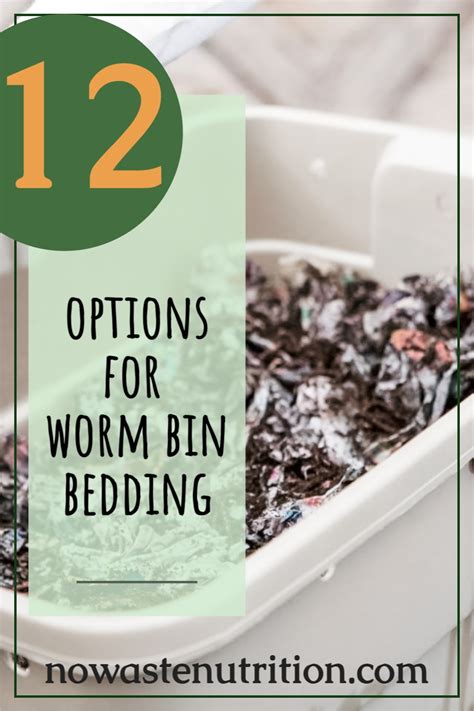 12 Cheap and Easy Worm Bedding Options - No Waste Nutrition