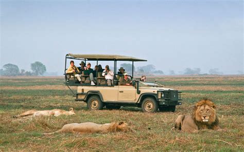 Top 10 Best Documentaries About African Wildlife | African Travel Canvas