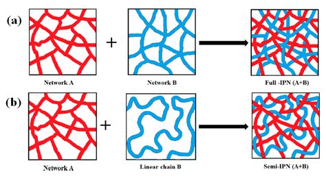 Polymer Blend Phase Diagram