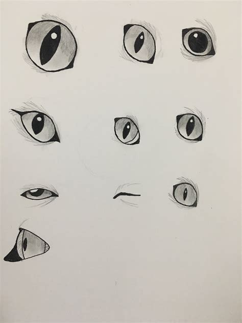 Just practicing my cat eyes X3 | Cat eyes drawing, Cat drawing, Cute drawings