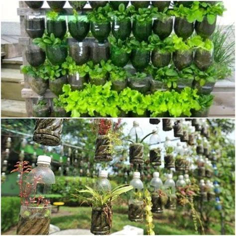 Vertical Garden Ideas With Plastic Bottles - Image to u