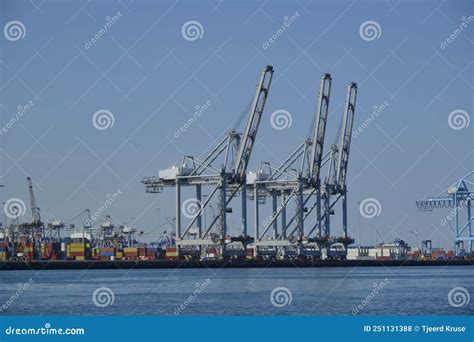 Cargo Cranes in Industrial Port, Cranes and Shipping Containers at Shipyard Editorial Stock ...