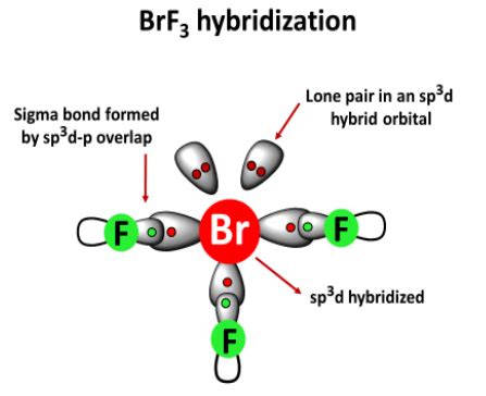 BrF3 Lewis structure, molecular geometry, bond angle, hybridization