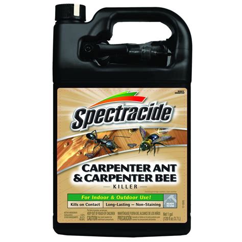 Kill Carpenter Bees Spray - Picture Of Carpenter