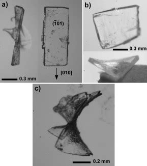 Oxalic acid dihydrate crystals from acetic acid.255 a) Elongated ...