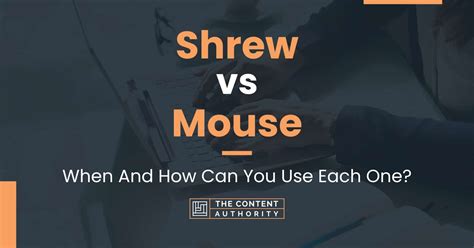 Shrew vs Mouse: When And How Can You Use Each One?