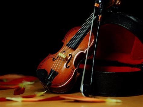 Violin Wallpapers - Wallpaper Cave