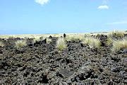 Category:Aa lava - Wikimedia Commons