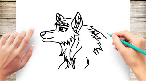 Wolves White Wolf White Wolf Drawing Anime PNG Image With Transparent ...