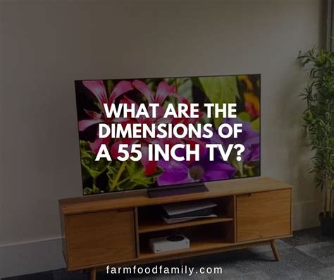 55 Inch TV Dimensions: What Are the Standard Sizes?