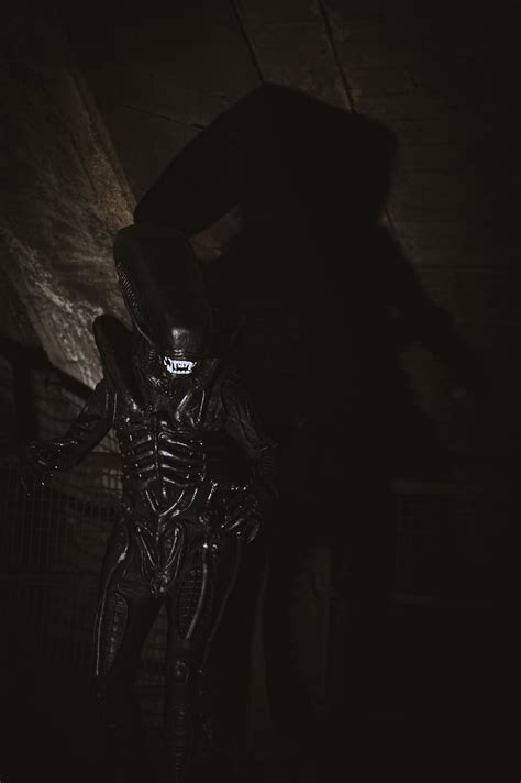 [self] Took my Xenomorph (Alien) Cosplay to a photoshooting yesterday ...