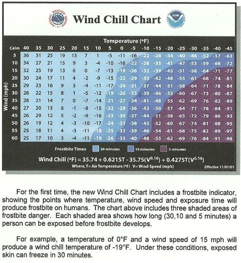 wind chill chart | Wind chill, Chart, Informative