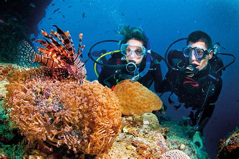 Snorkeling in the South of Phu Quoc Island Tour - 1 Day