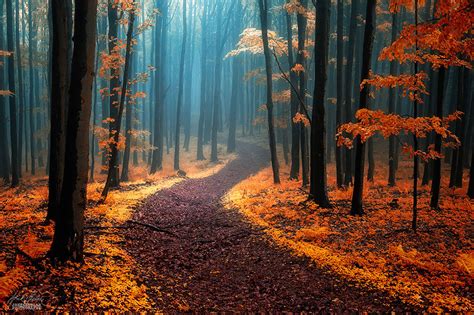 These 203 Beautiful Autumn Photos Will Inspire You To Grab Your Camera | Bored Panda