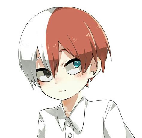 Shoto Todoroki Drawing Cute